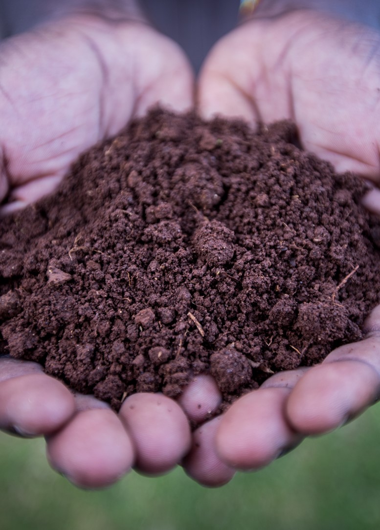 Agricultural innovation in Africa starts with soil analysis